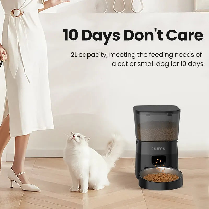 Dispensador Automático de Comida para Gatos | Programable con Pantalla LCD · Cattito